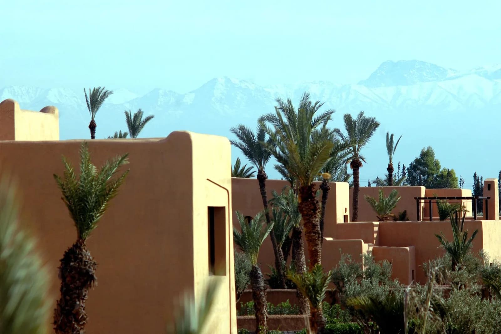 Maisons en pisé et palmiers de Marrakech devant les sommets enneigés de l'Atlas