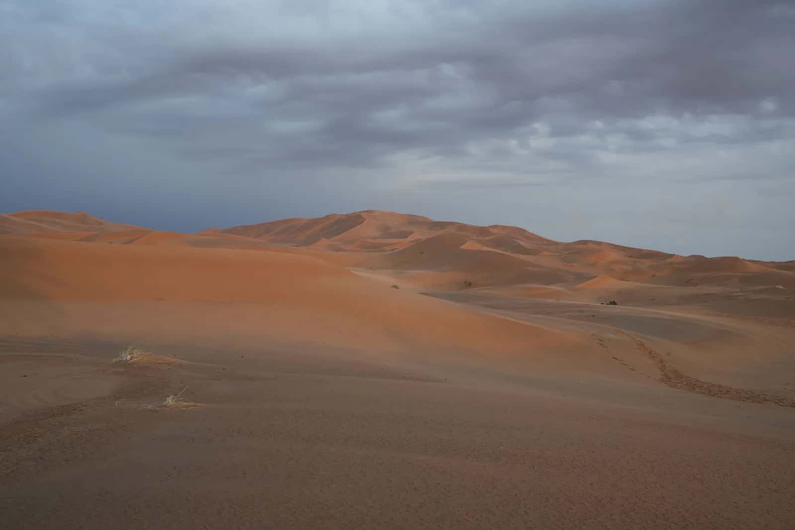Désert du Sahara (Merzouga, Zagora)