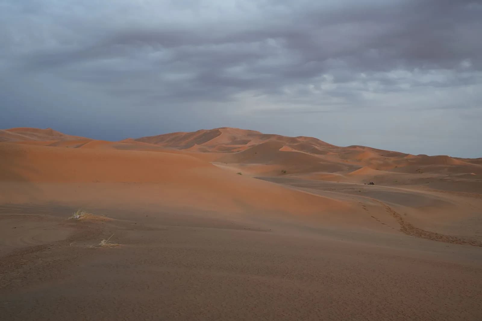 Grandes dunes de l'Erg Chebbi à Merzouga, désert du Sahara marocain