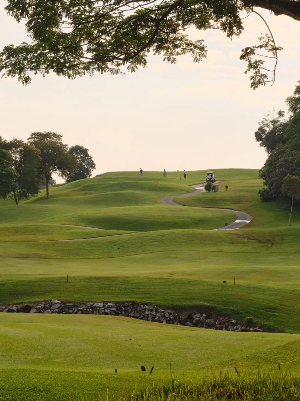 Fairway vallonné et arboré d'un parcours de golf à Marrakech en fin de journée, avec des golfeurs au loin