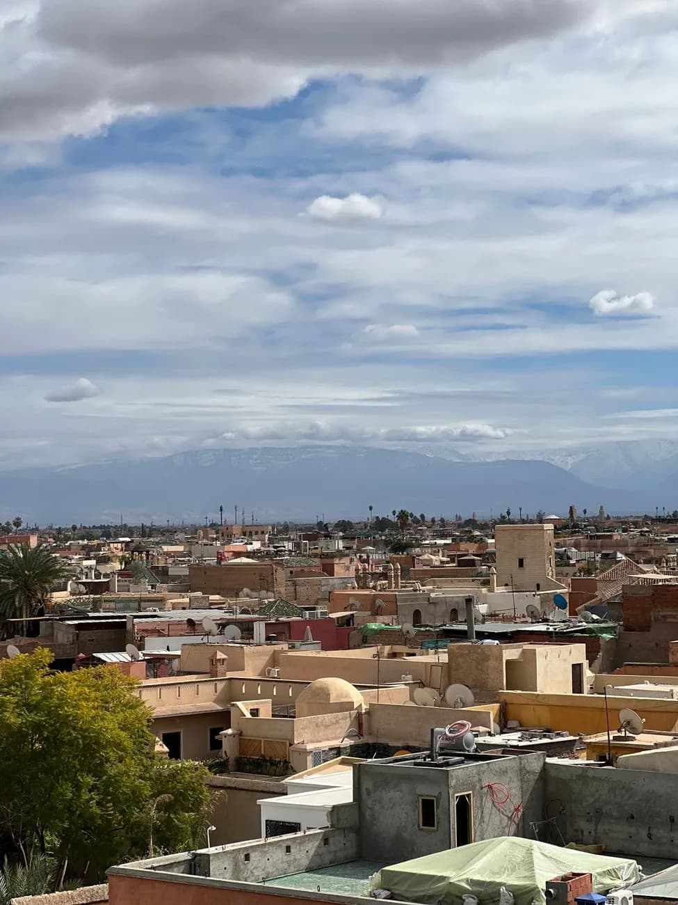 Vue sur les toits de Marrakech et l'Atlas, marché immobilier de la ville