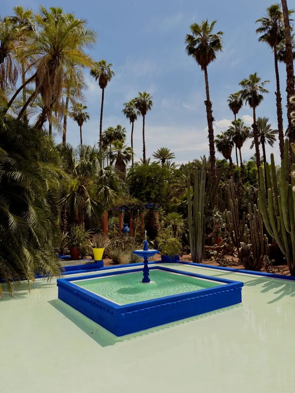 Bassin et fontaine bleus du Jardin Majorelle bordés de palmiers et de cactus, à Marrakech
