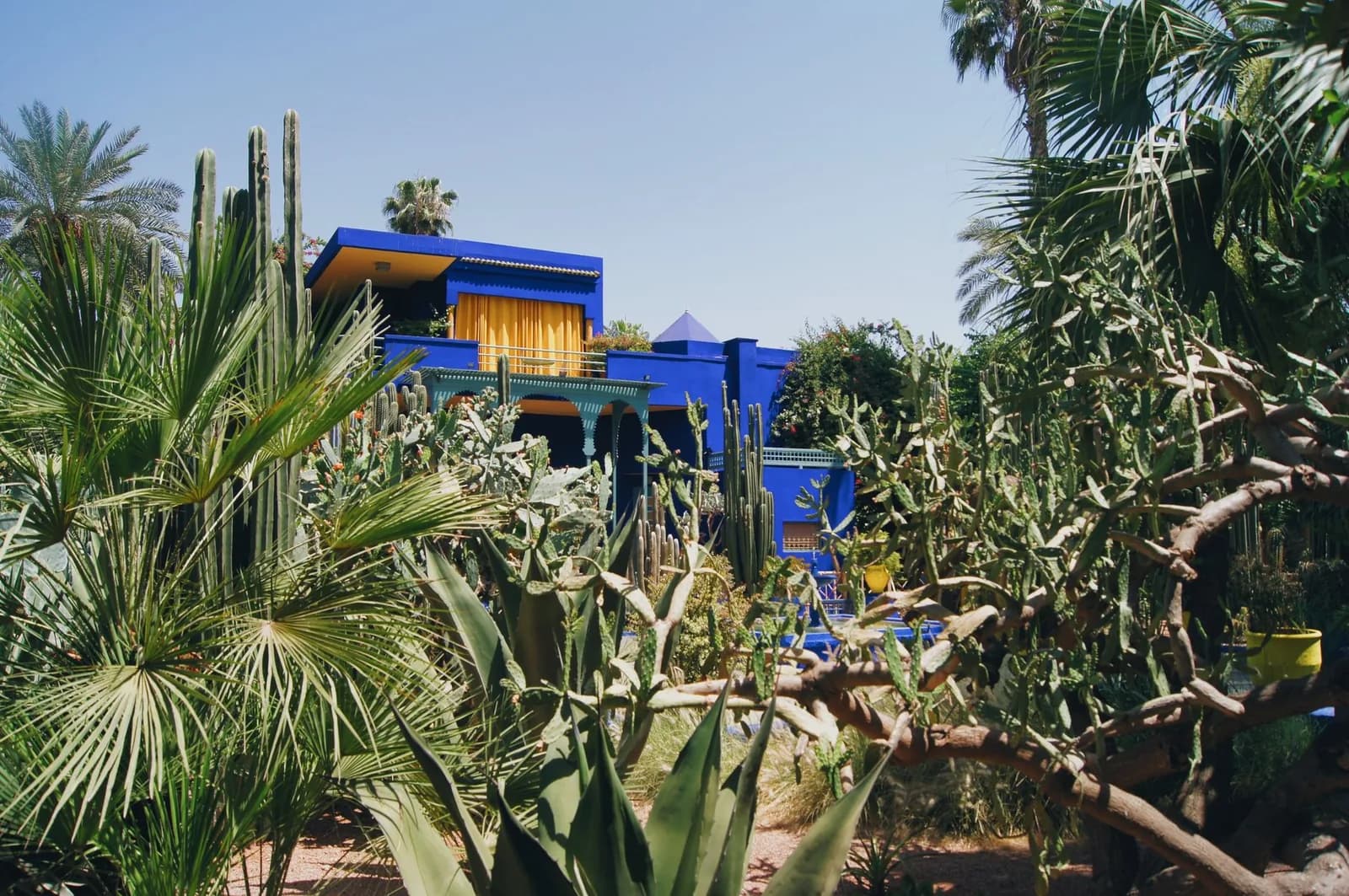 La villa bleue et le bassin du Jardin Majorelle à Marrakech, entourés de cactus et de palmiers