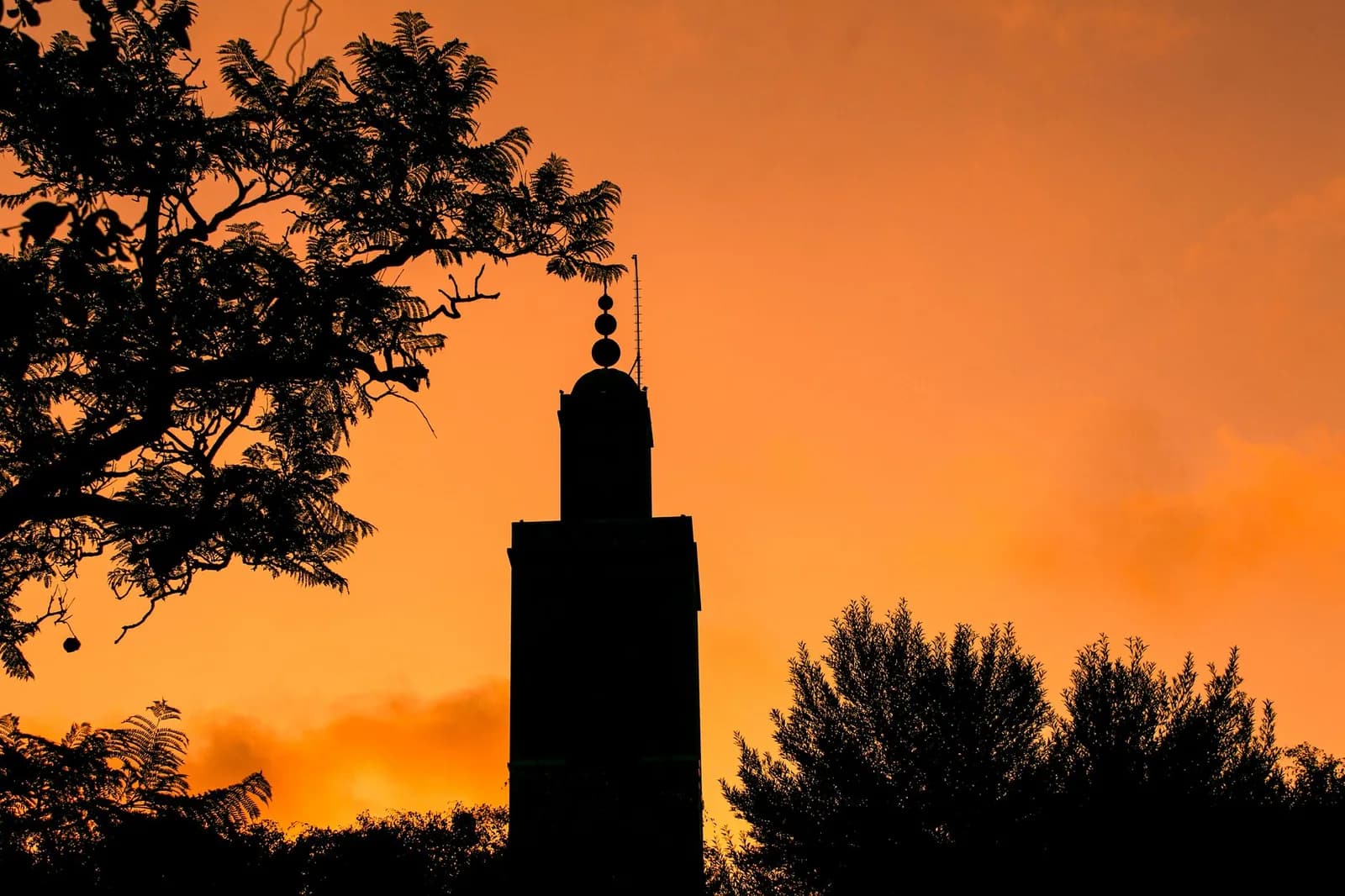 Silhouette d'un minaret marocain sur un ciel orange au coucher du soleil, entre des arbres
