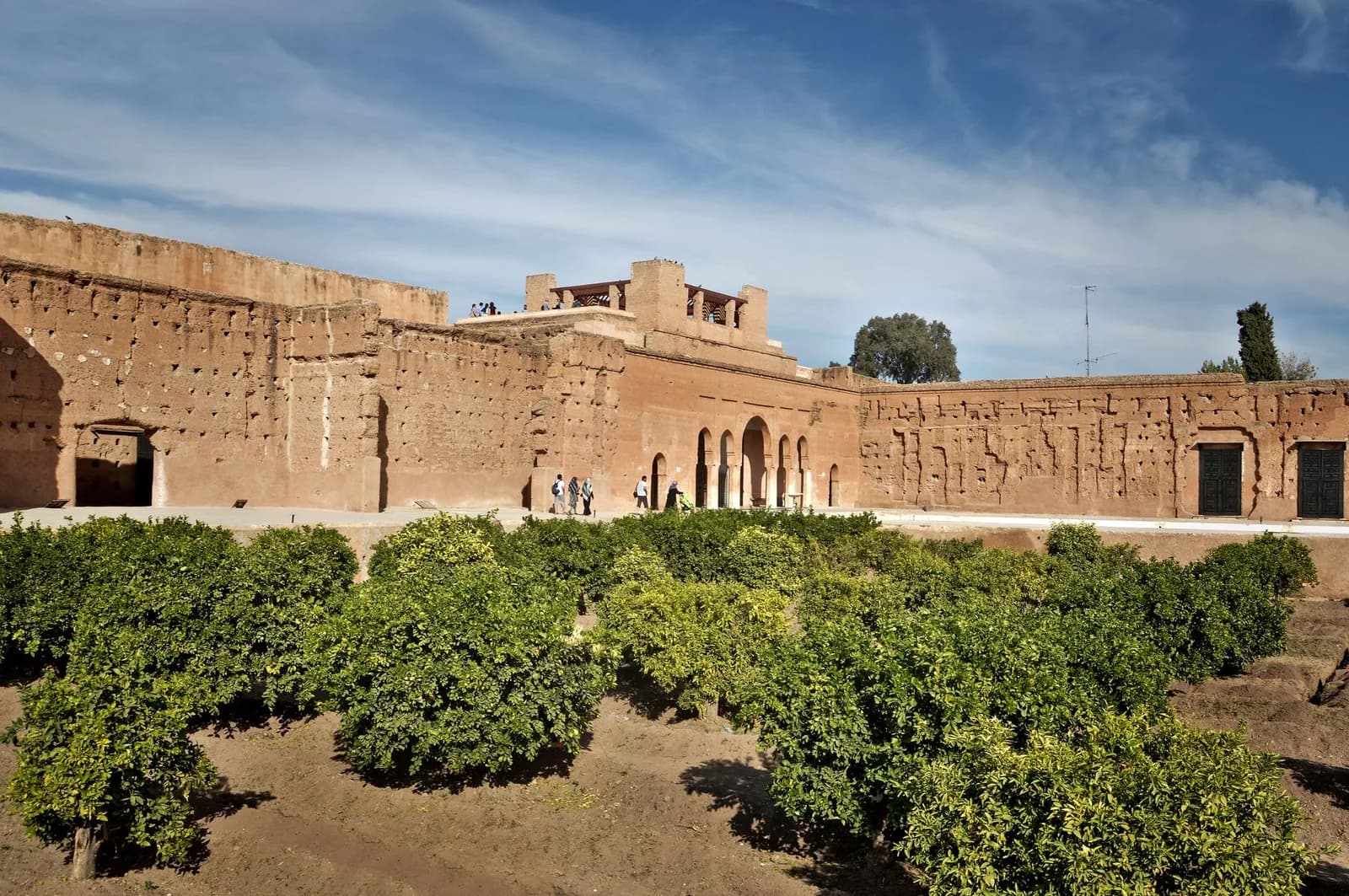 Orangers dans le jardin du palais El Badi à Marrakech, devant les murs en pisé de l'ancien palais