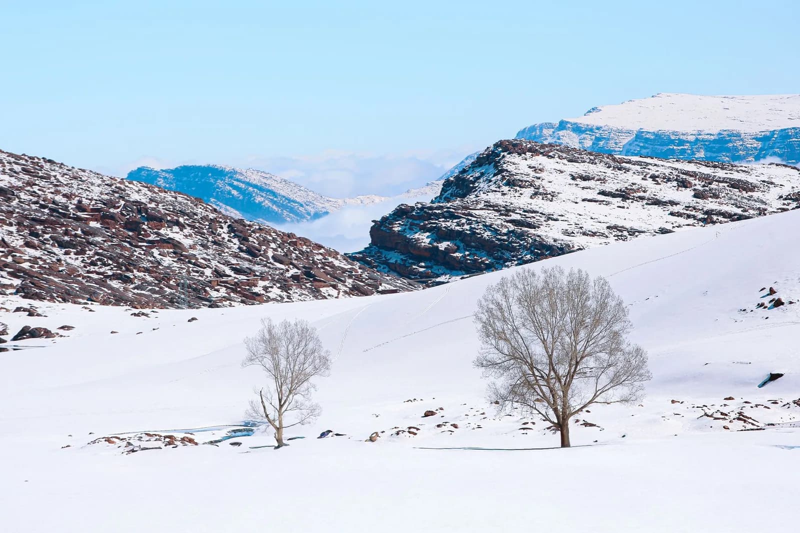 Pentes enneigées et arbres sans feuilles dans les montagnes du Haut Atlas marocain en hiver