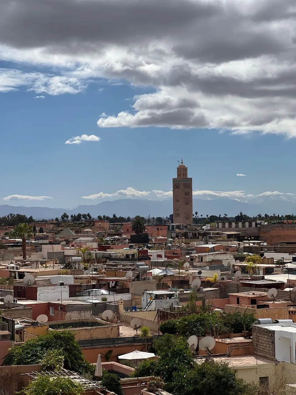 Les toits de Marrakech et la Koutoubia devant les sommets enneigés de l'Atlas en janvier