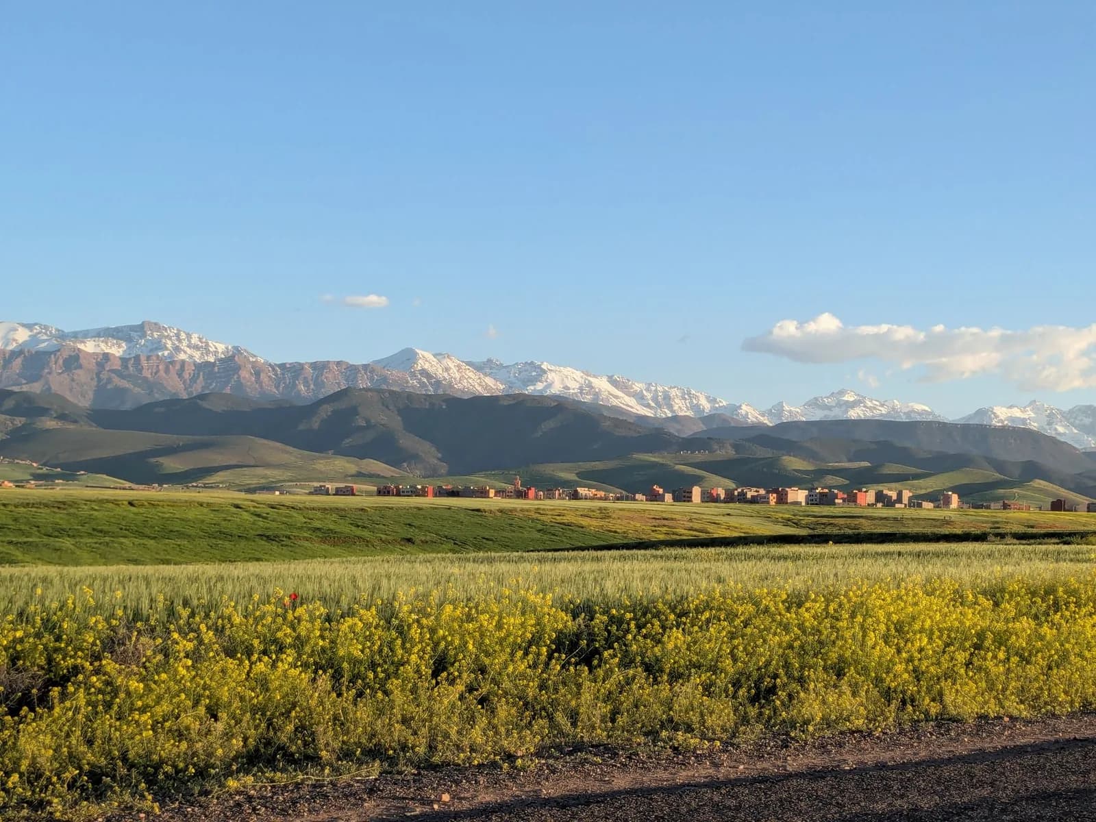 Les sommets enneigés du Haut Atlas au-dessus de la plaine verdoyante de Marrakech au printemps