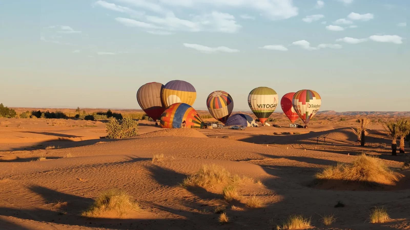 Plusieurs montgolfières colorées en cours de gonflage sur le sable, dans la lumière dorée du matin