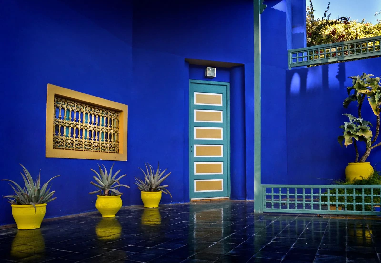 Mur bleu Majorelle et pots jaunes dans le Jardin Majorelle à Marrakech, voisin du musée YSL