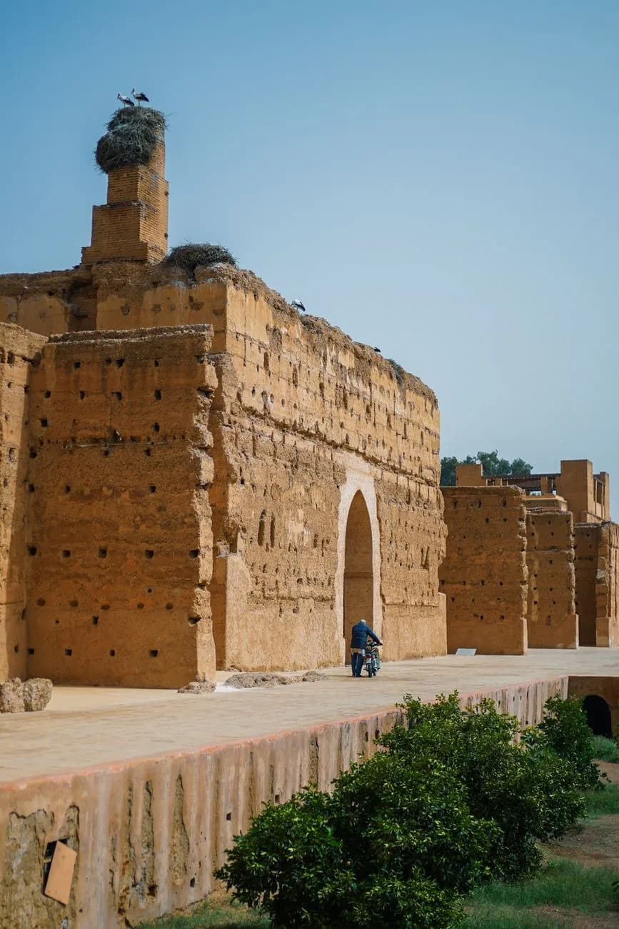 Cigognes blanches et leurs nids perchés sur les hauts murs de pisé du Palais El Badi à Marrakech