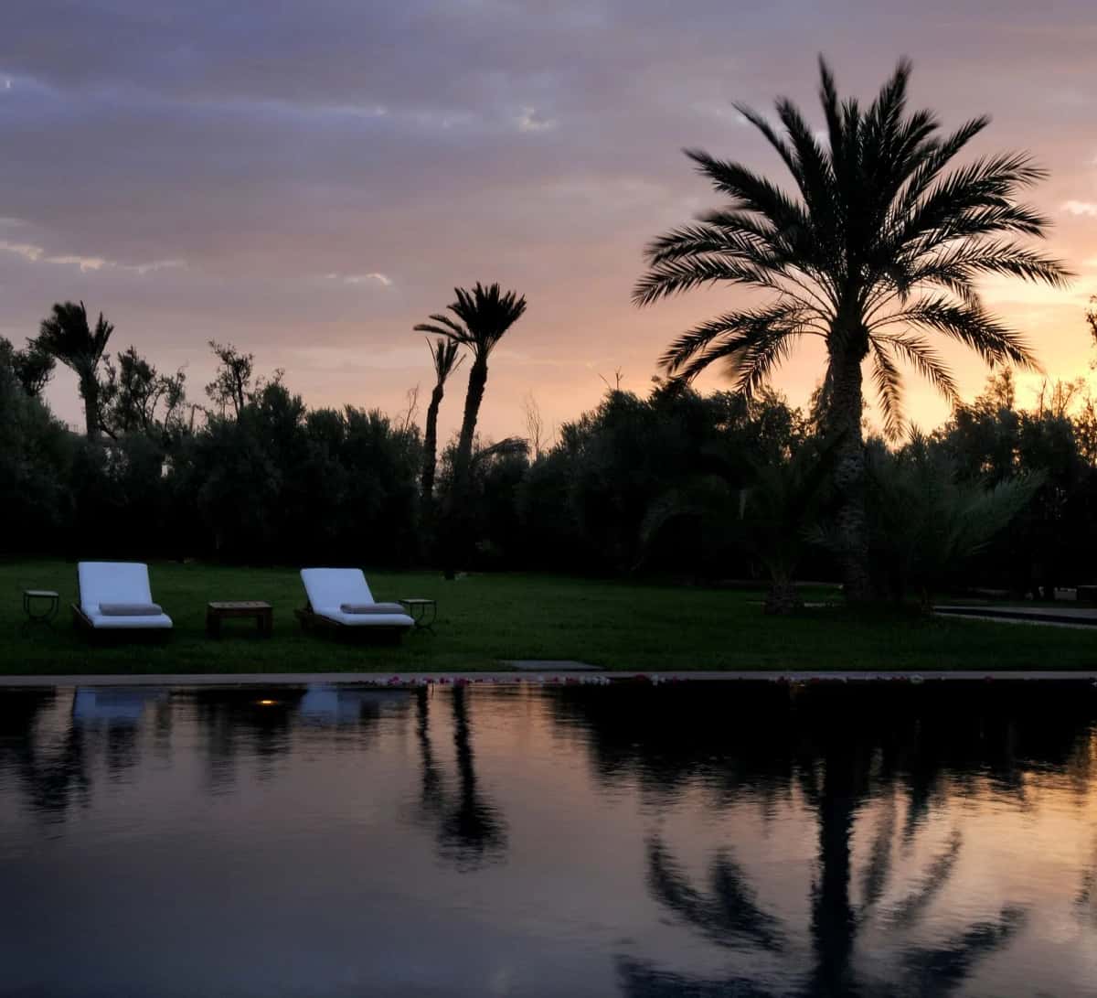 Palmiers et villa de luxe dans la Palmeraie de Marrakech