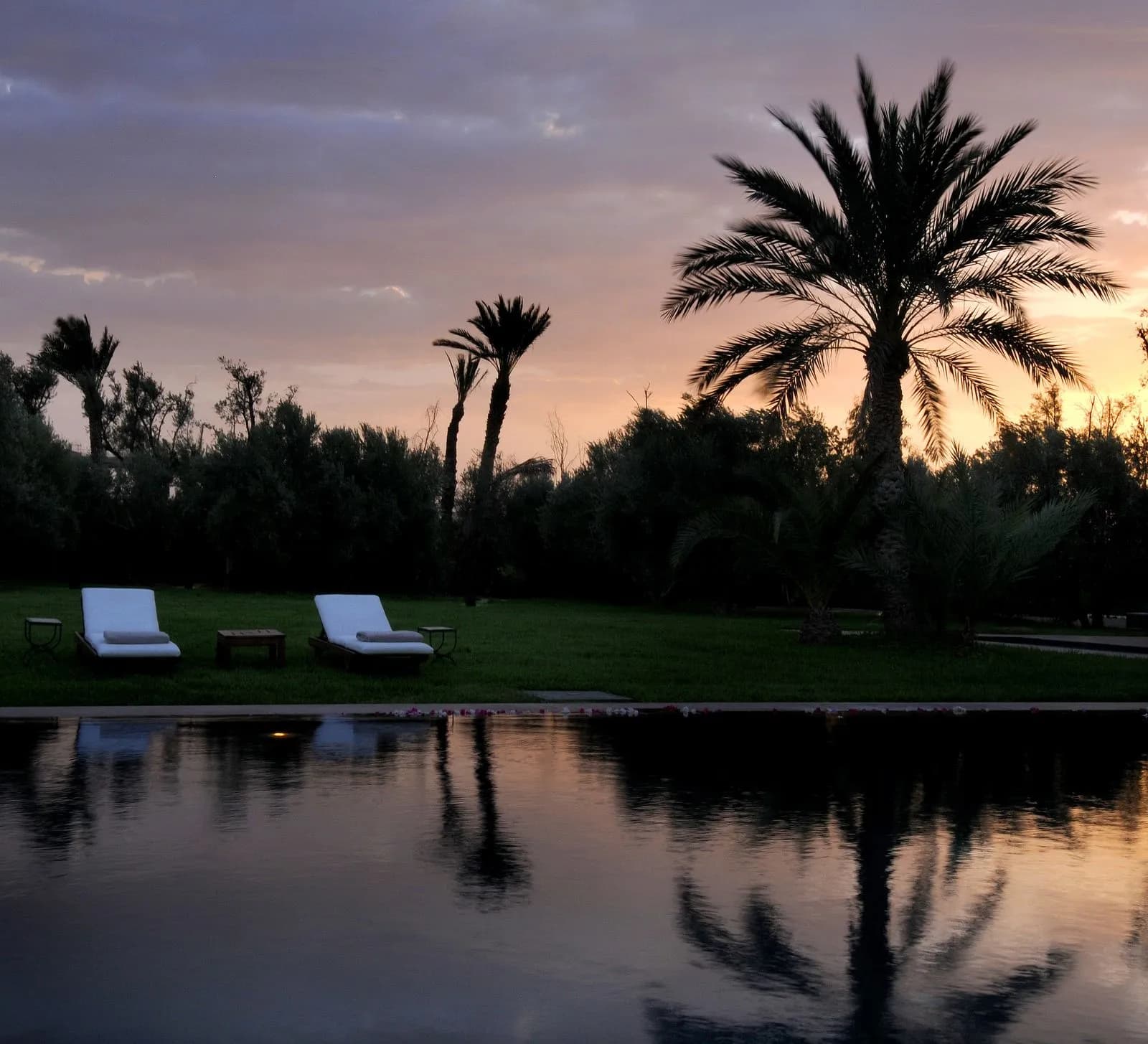Palmeraie de Marrakech