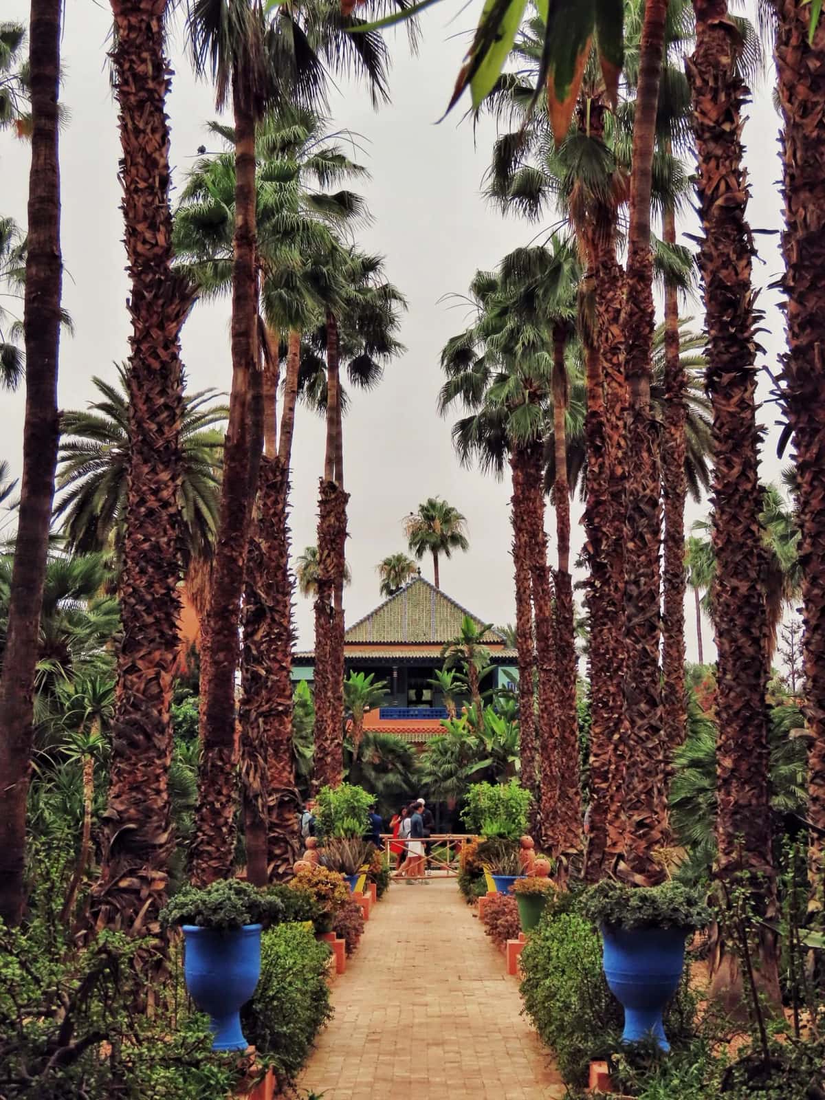 Allée de palmiers dans le Jardin Majorelle à Marrakech