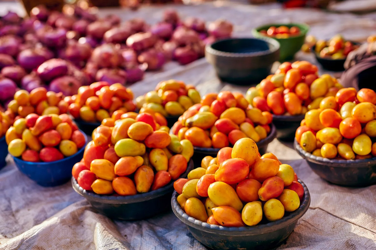 Tomates et oignons rouges disposés en bassines sur un marché de plein air