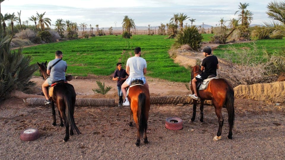 Marrakech : Visite privée à cheval dans la palmeraie avec thé