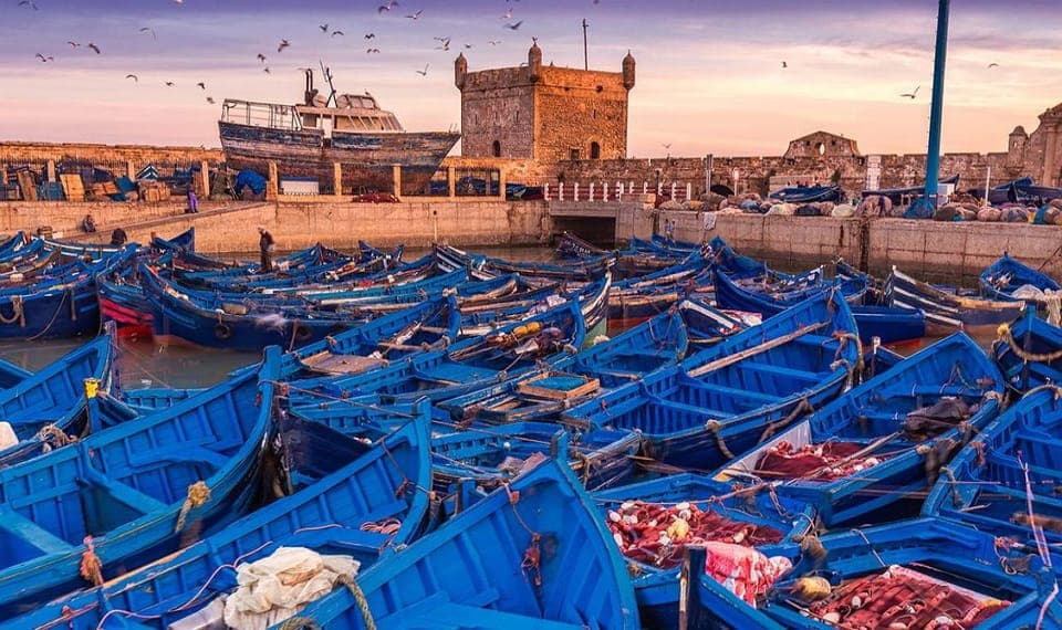 Depuis Marrakech : visite d'une journée sur la côte d'Essaouira avec déjeuner
